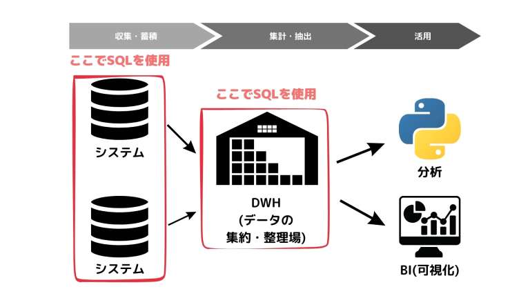Sql Viz SQLとは?データベースの操作言語 - DATA VIZ LAB|データビズラボ